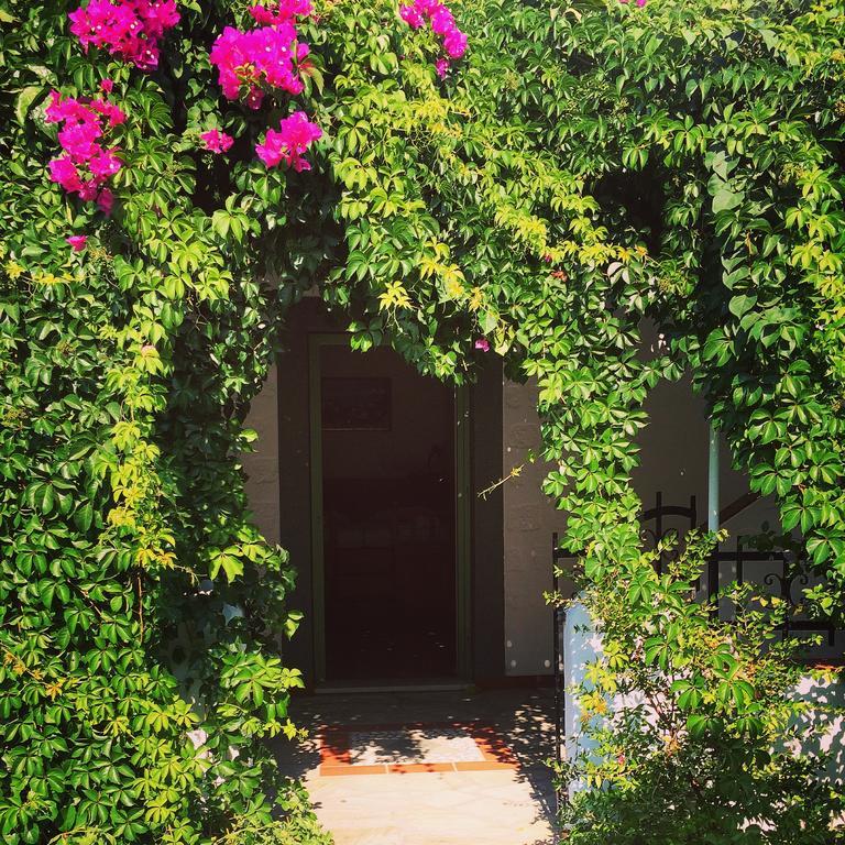 Patmos Villas Грикос Экстерьер фото