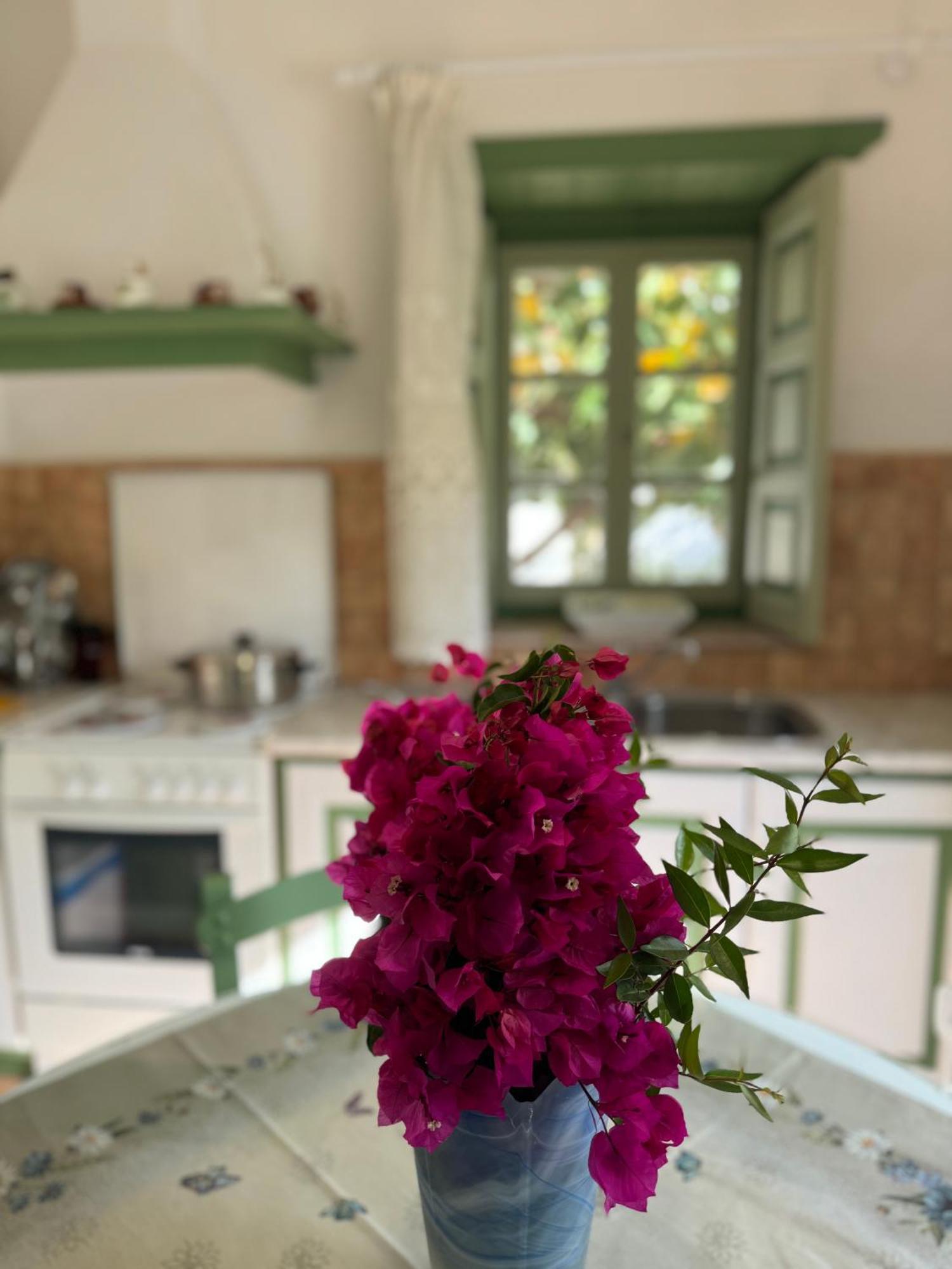 Patmos Villas Грикос Экстерьер фото